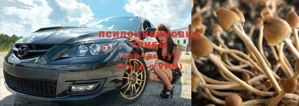 прущие крисы Армянск