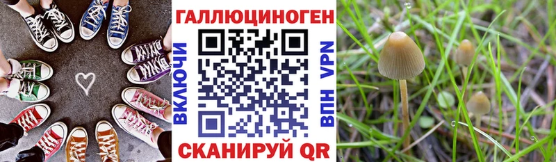Галлюциногенные грибы GOLDEN TEACHER сколько стоит Макаров